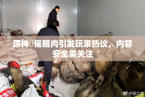原神婬催眠肉引发玩家热议，内容安全需关注