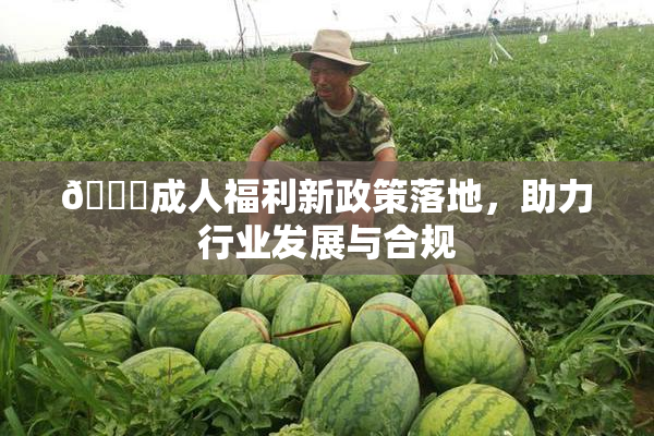 🔞成人福利新政策落地，助力行业发展与合规