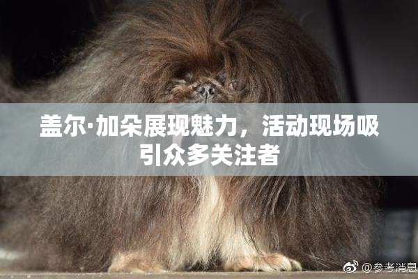 盖尔·加朵展现魅力，活动现场吸引众多关注者