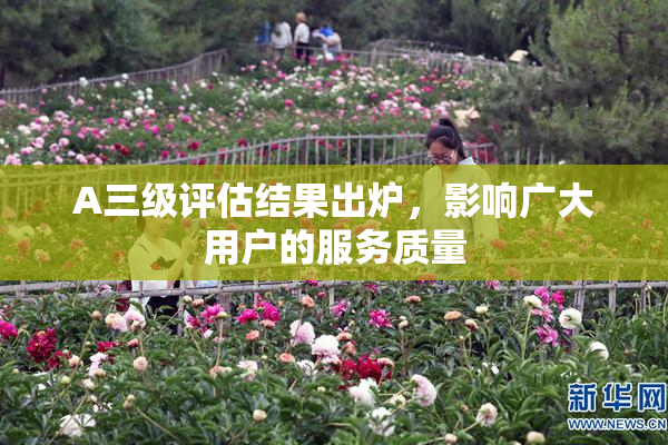 A三级评估结果出炉，影响广大用户的服务质量