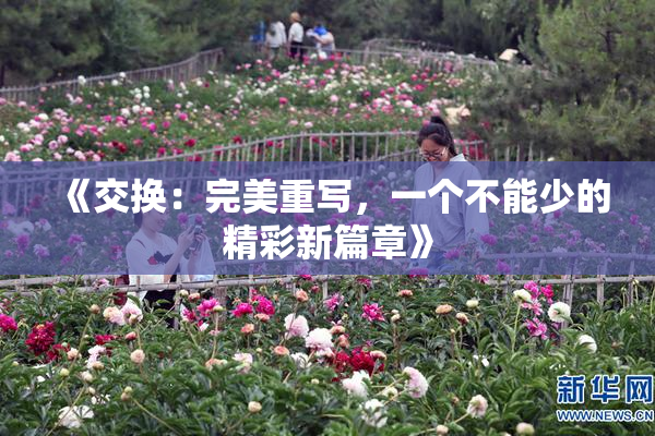 《交换：完美重写，一个不能少的精彩新篇章》
