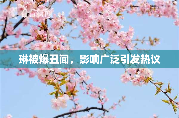 琳被爆丑闻，影响广泛引发热议