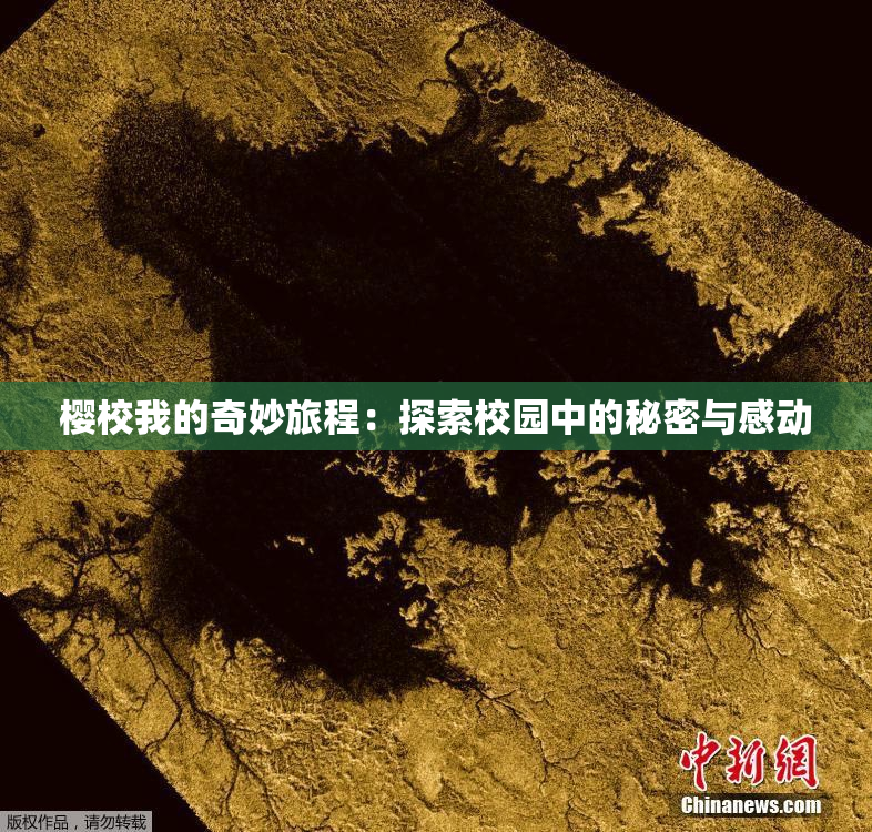 樱校我的奇妙旅程：探索校园中的秘密与感动