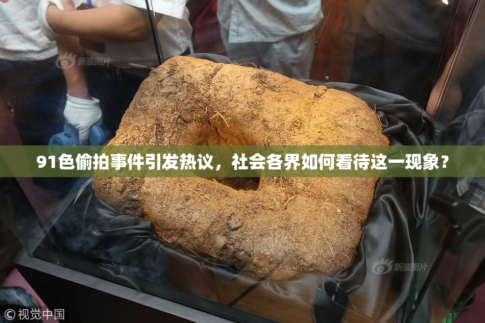91色偷拍事件引发热议，社会各界如何看待这一现象？