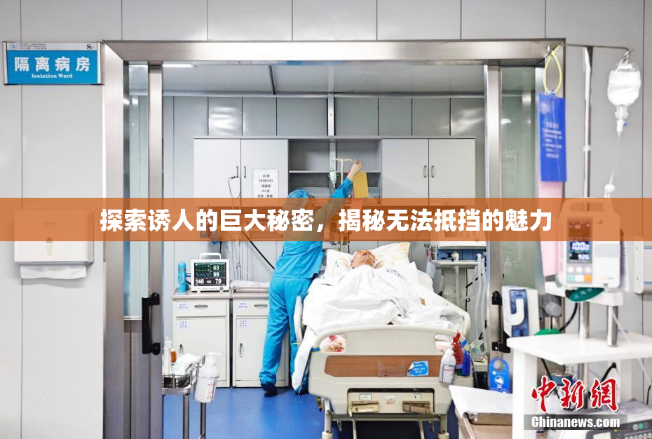 探索诱人的巨大秘密，揭秘无法抵挡的魅力