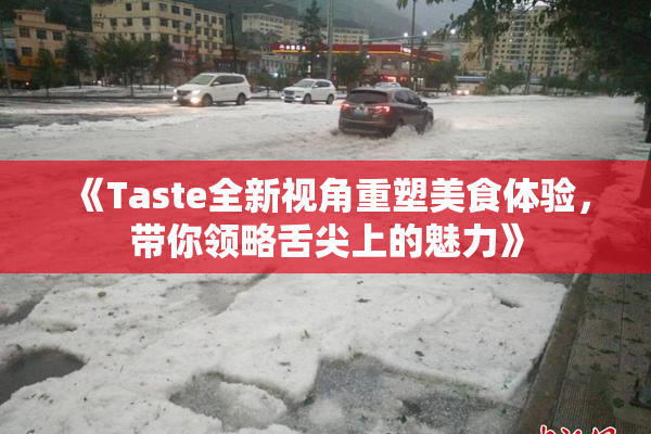 《Taste全新视角重塑美食体验，带你领略舌尖上的魅力》