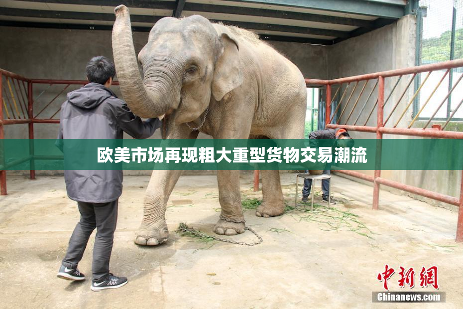 欧美市场再现粗大重型货物交易潮流