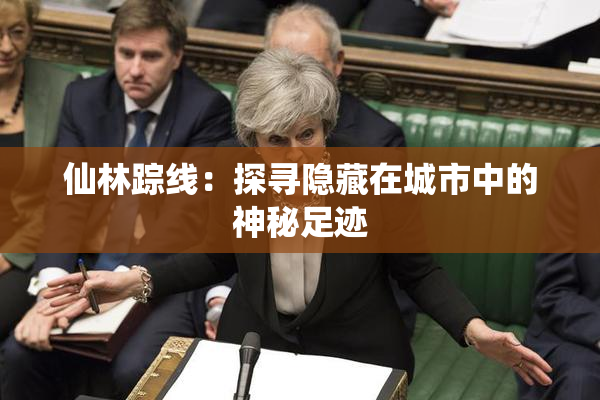 仙林踪线：探寻隐藏在城市中的神秘足迹