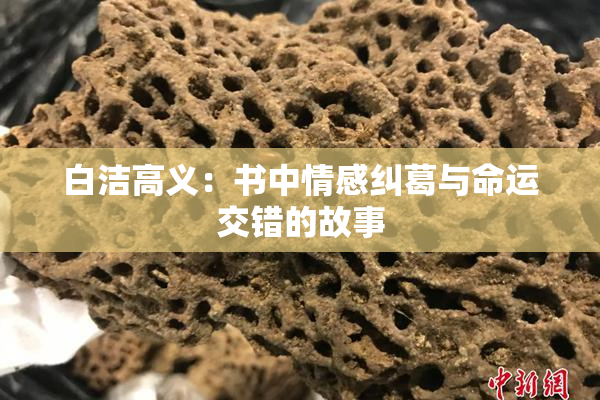 白洁高义：书中情感纠葛与命运交错的故事