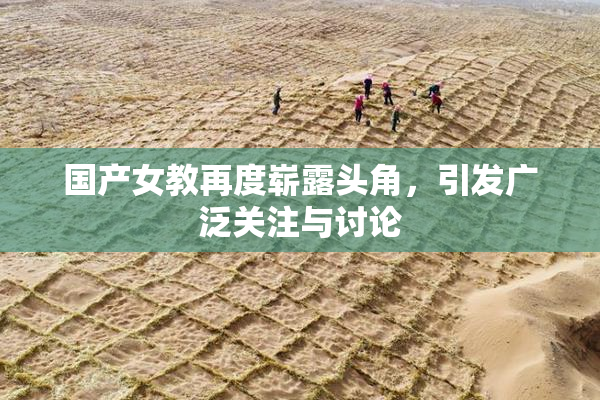 国产女教再度崭露头角，引发广泛关注与讨论