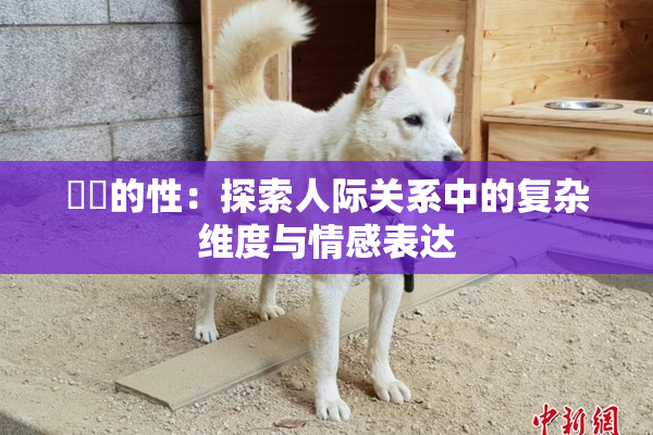 妺妺的性：探索人际关系中的复杂维度与情感表达