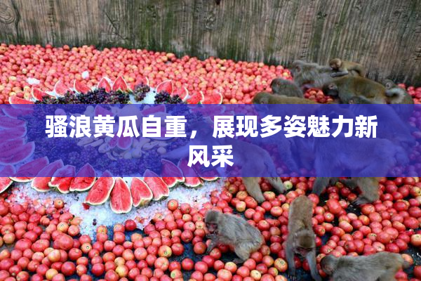 骚浪黄瓜自重，展现多姿魅力新风采