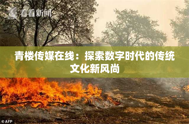 青楼传媒在线：探索数字时代的传统文化新风尚