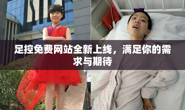 足控免费网站全新上线，满足你的需求与期待