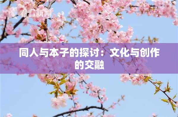 同人与本子的探讨：文化与创作的交融