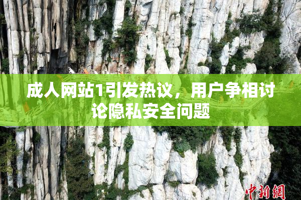 成人网站1引发热议，用户争相讨论隐私安全问题