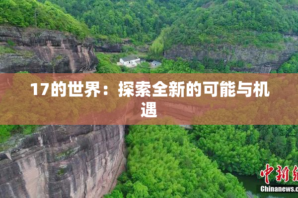 17的世界：探索全新的可能与机遇