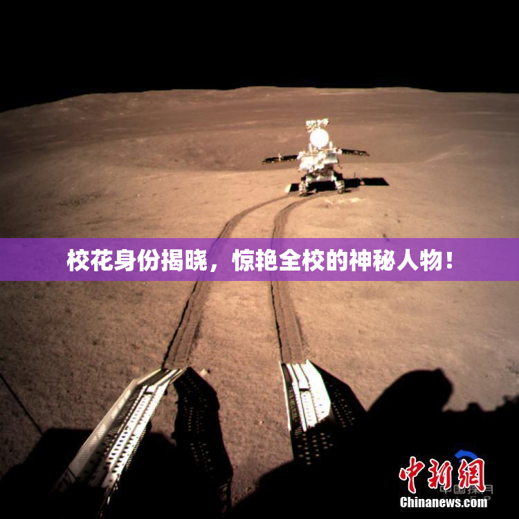 校花身份揭晓，惊艳全校的神秘人物！
