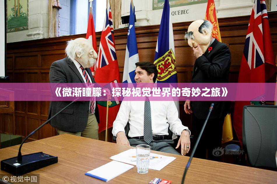《微渐瞳朦：探秘视觉世界的奇妙之旅》