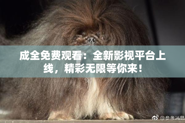 成全免费观看：全新影视平台上线，精彩无限等你来！