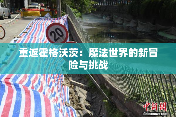 重返霍格沃茨：魔法世界的新冒险与挑战