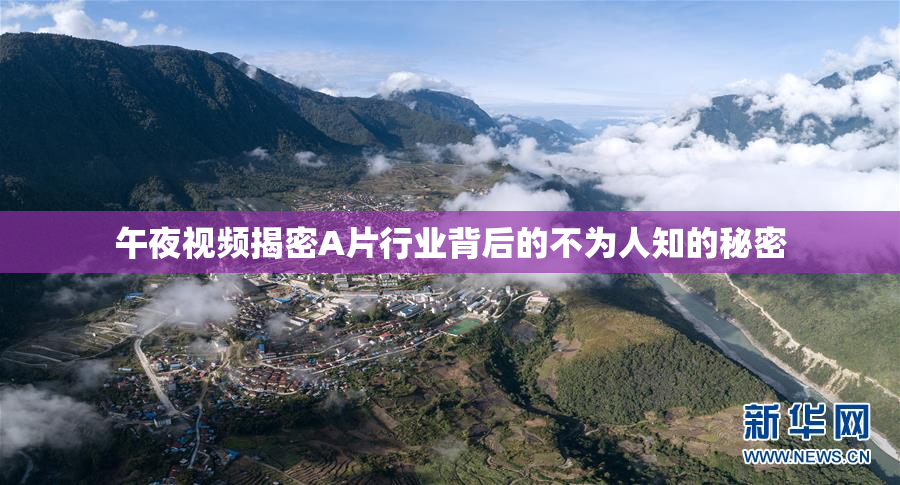 午夜视频揭密A片行业背后的不为人知的秘密