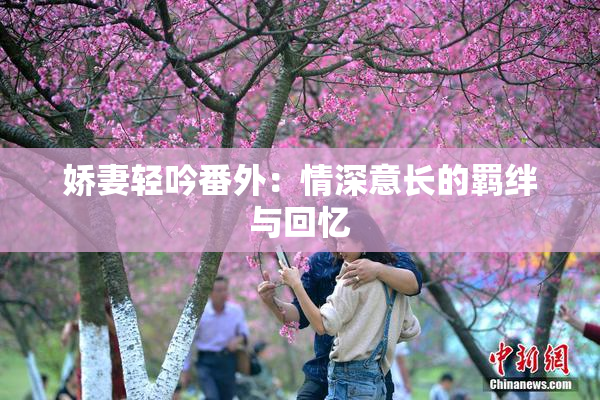 娇妻轻吟番外：情深意长的羁绊与回忆