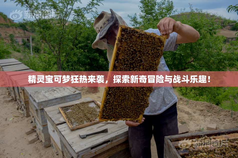 精灵宝可梦狂热来袭，探索新奇冒险与战斗乐趣！