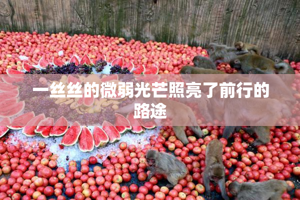 一丝丝的微弱光芒照亮了前行的路途