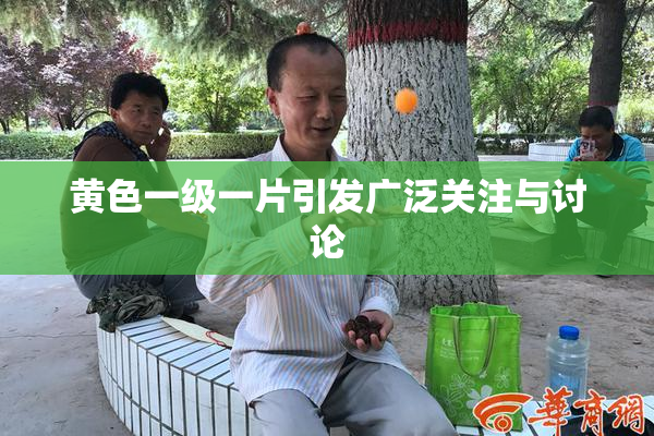 黄色一级一片引发广泛关注与讨论