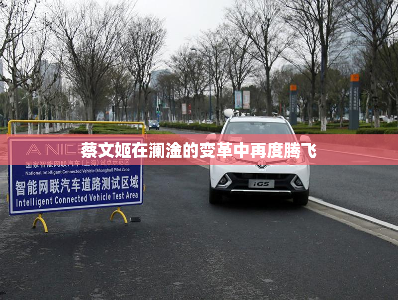 蔡文姬在澜淦的变革中再度腾飞