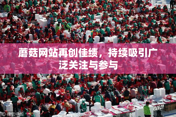 蘑菇网站再创佳绩，持续吸引广泛关注与参与