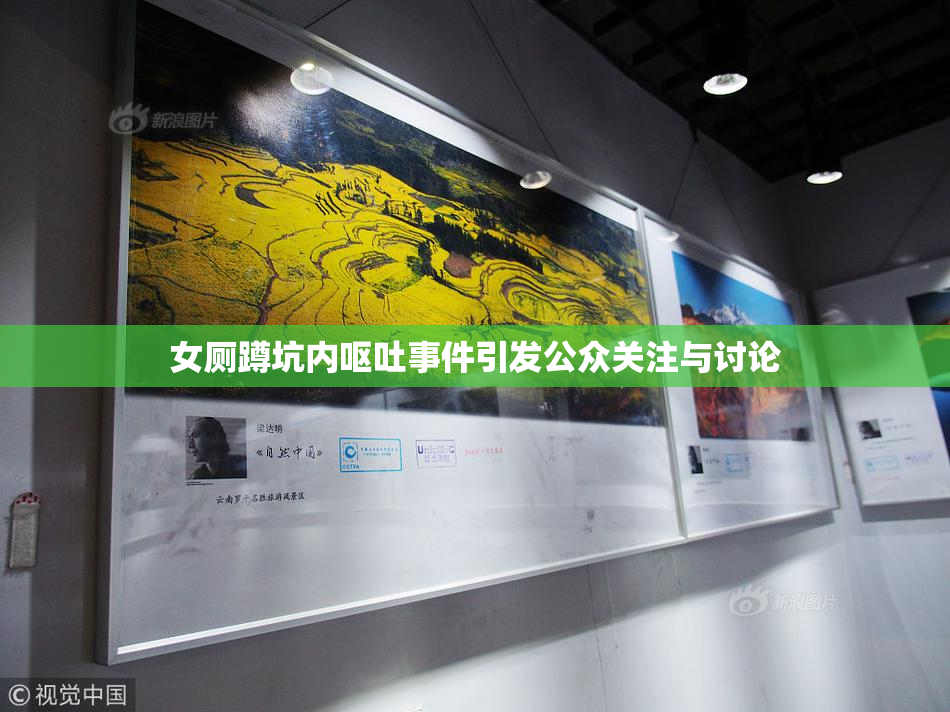 女厕蹲坑内呕吐事件引发公众关注与讨论