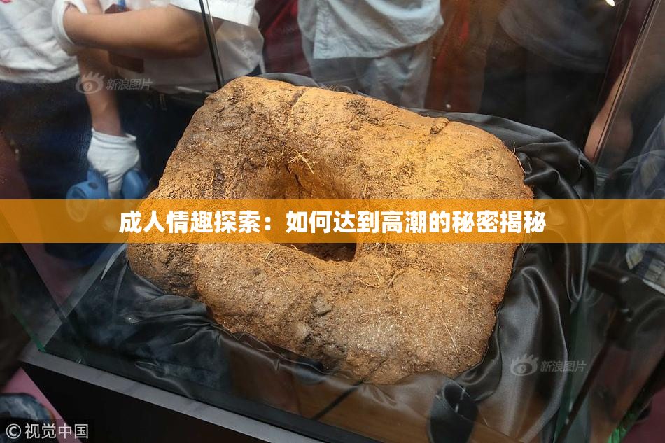 成人情趣探索：如何达到高潮的秘密揭秘