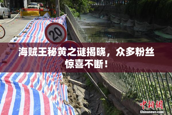 海贼王秘黄之谜揭晓，众多粉丝惊喜不断！
