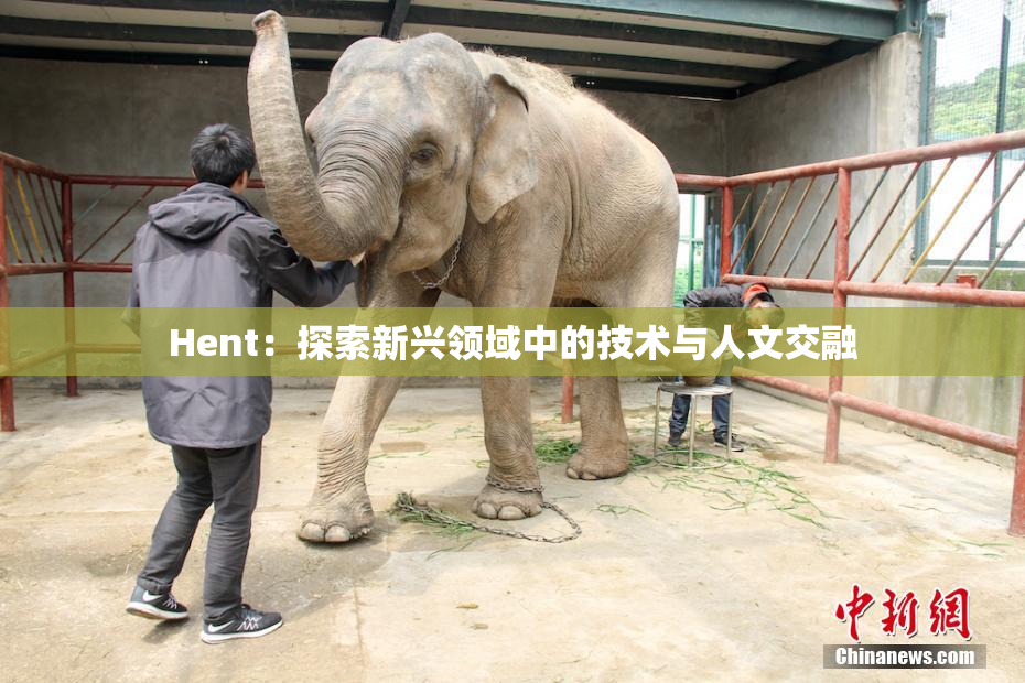 Hent：探索新兴领域中的技术与人文交融