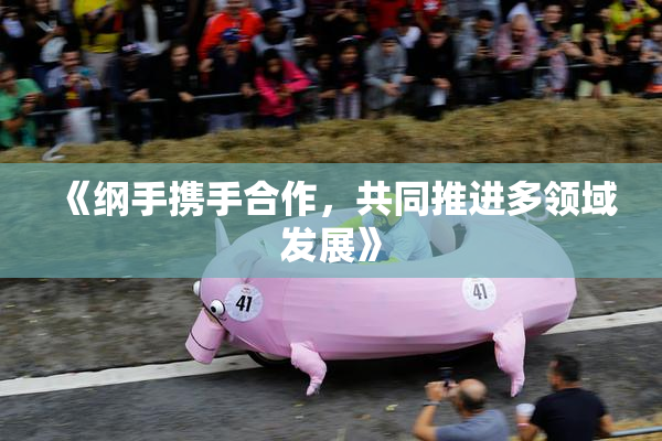 《纲手携手合作，共同推进多领域发展》