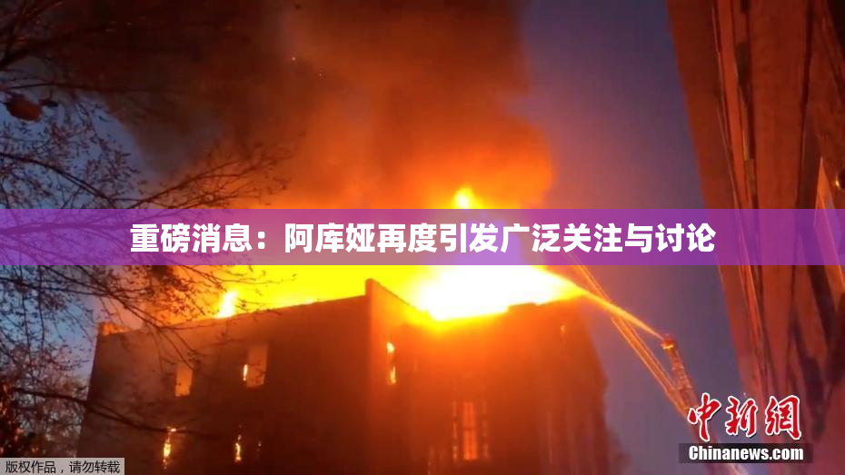 重磅消息：阿库娅再度引发广泛关注与讨论