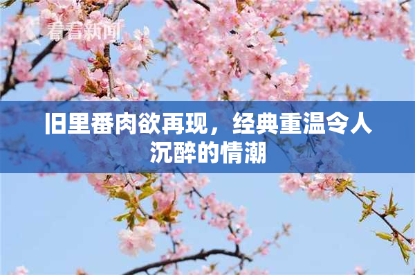 旧里番肉欲再现，经典重温令人沉醉的情潮