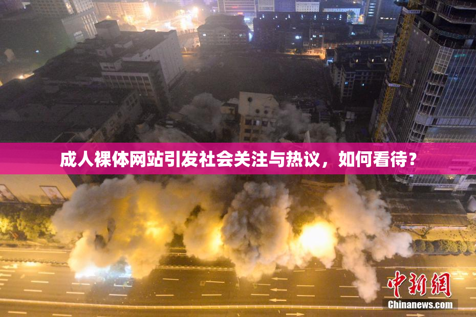 成人裸体网站引发社会关注与热议，如何看待？