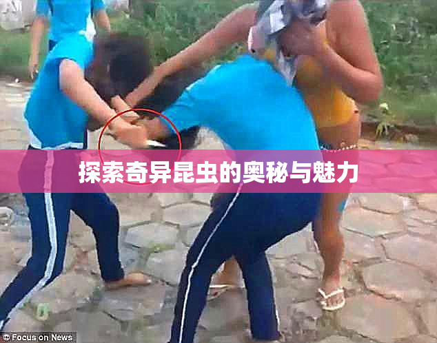 探索奇异昆虫的奥秘与魅力