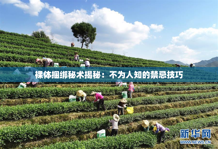 裸体捆绑秘术揭秘：不为人知的禁忌技巧