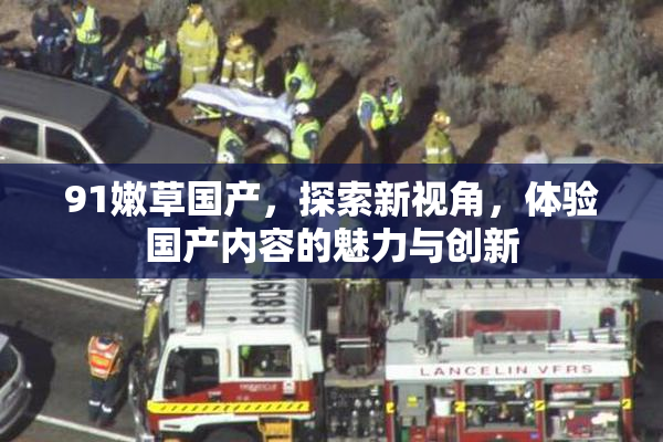 91嫩草国产，探索新视角，体验国产内容的魅力与创新