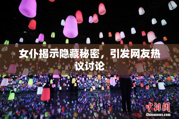 女仆揭示隐藏秘密，引发网友热议讨论