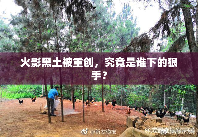 火影黑土被重创，究竟是谁下的狠手？