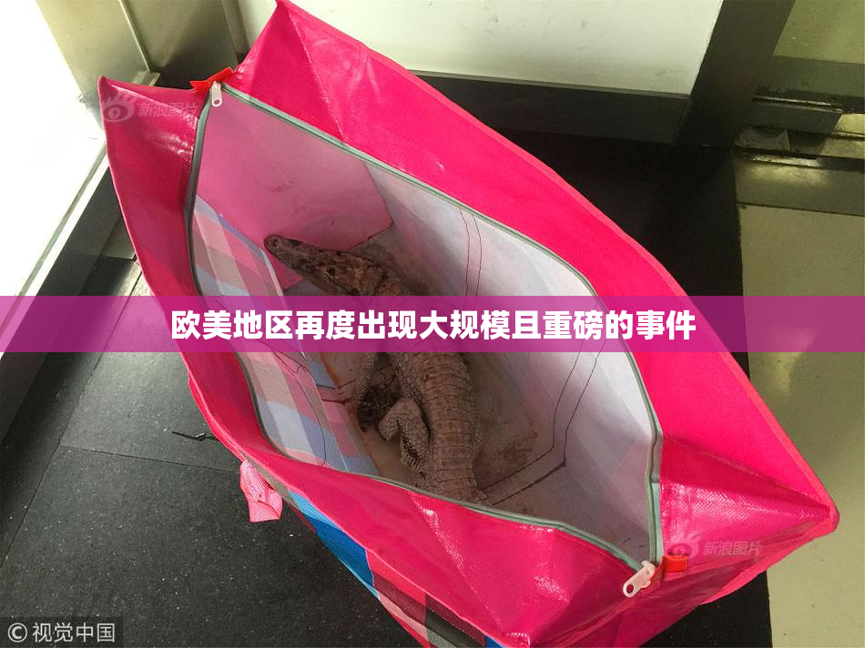 欧美地区再度出现大规模且重磅的事件