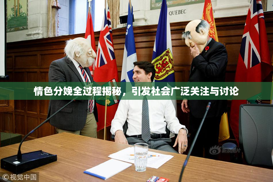 情色分娩全过程揭秘，引发社会广泛关注与讨论