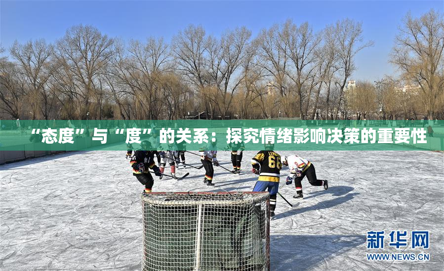 “态度”与“度”的关系：探究情绪影响决策的重要性