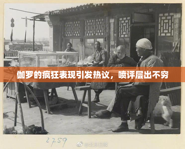 伽罗的疯狂表现引发热议，喷评层出不穷