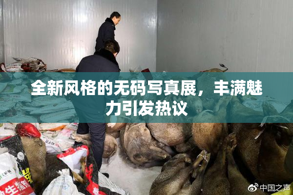 全新风格的无码写真展，丰满魅力引发热议